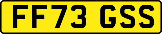FF73GSS