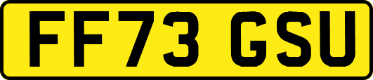FF73GSU