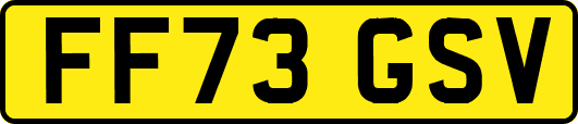 FF73GSV