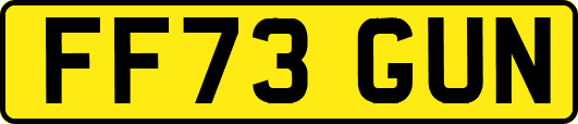 FF73GUN
