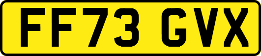 FF73GVX
