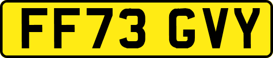 FF73GVY