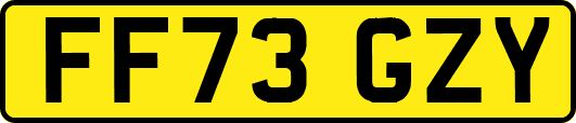 FF73GZY