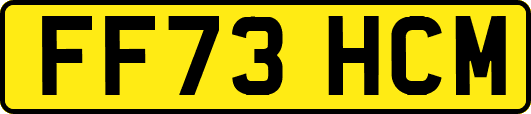 FF73HCM