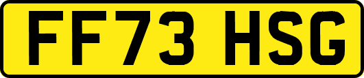 FF73HSG