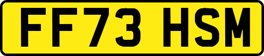 FF73HSM