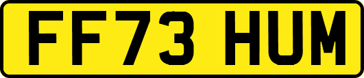 FF73HUM