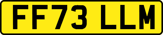 FF73LLM