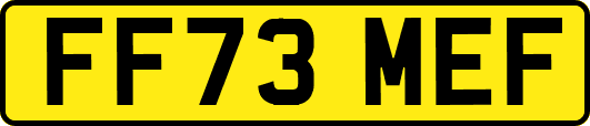 FF73MEF