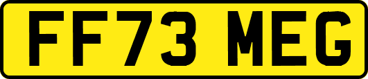 FF73MEG