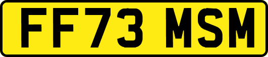 FF73MSM