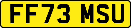 FF73MSU