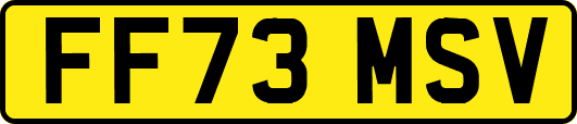 FF73MSV