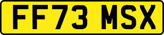 FF73MSX