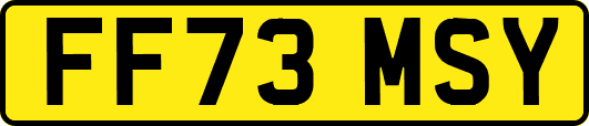 FF73MSY
