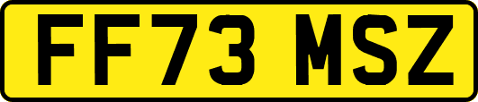 FF73MSZ