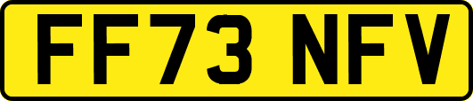 FF73NFV