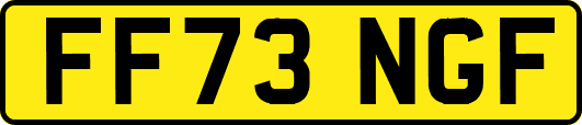 FF73NGF