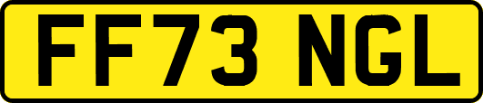 FF73NGL