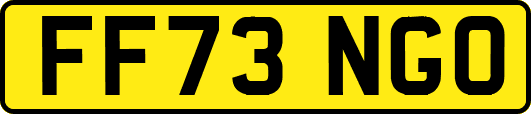 FF73NGO