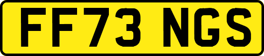 FF73NGS