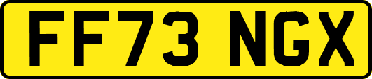 FF73NGX