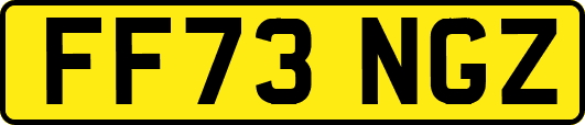 FF73NGZ