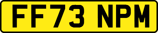FF73NPM