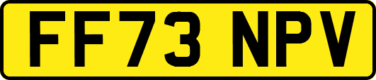 FF73NPV