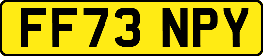 FF73NPY