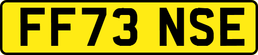 FF73NSE