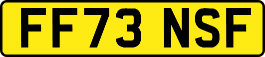 FF73NSF