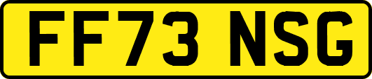 FF73NSG