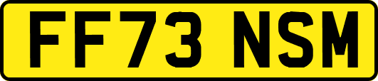 FF73NSM