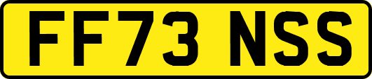 FF73NSS