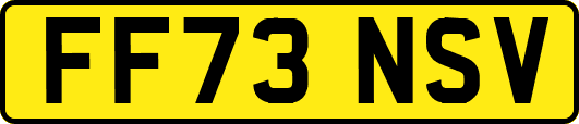 FF73NSV
