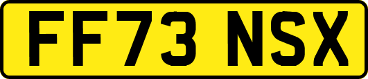 FF73NSX