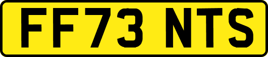 FF73NTS