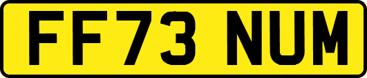 FF73NUM