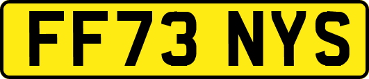 FF73NYS