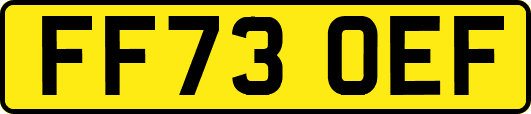 FF73OEF