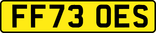 FF73OES