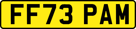FF73PAM