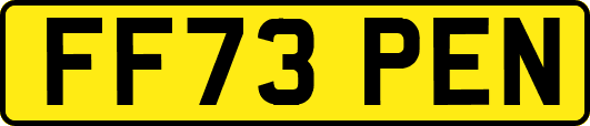 FF73PEN
