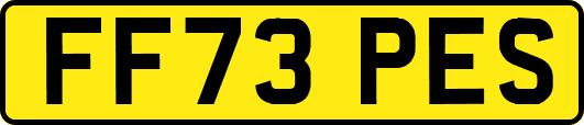 FF73PES