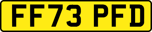 FF73PFD