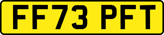 FF73PFT