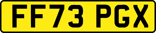 FF73PGX