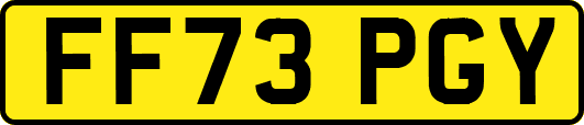 FF73PGY
