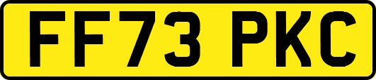 FF73PKC